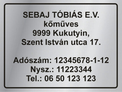 Cégtábla - kompozit lemez alapon - időjárásálló - ezüst - 40x30 cm